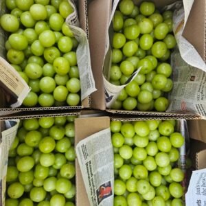 Gooseberries Amla