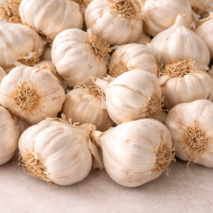 Garlic